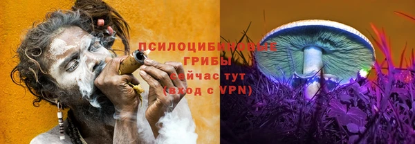 каннабис Богородицк